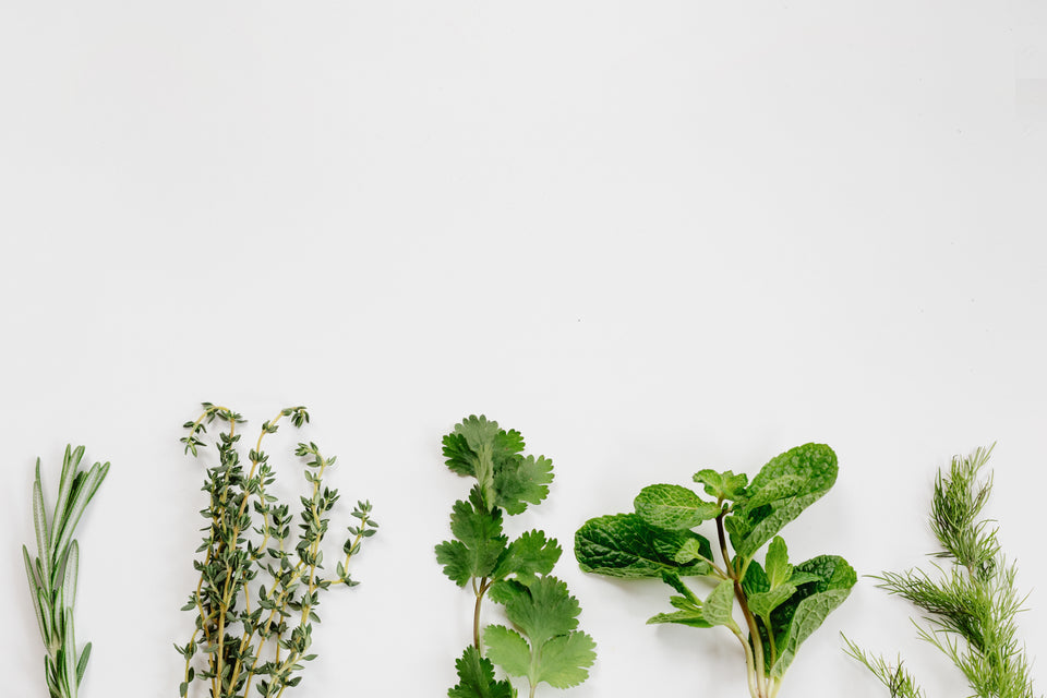 A white background with a few herbs peeking up into the background.